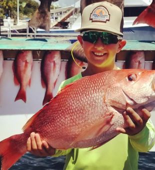 Red Snapper from Destin, FL